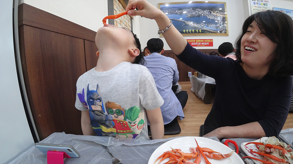 사용자 삽입 이미지