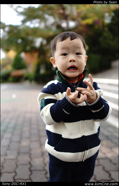 사용자 삽입 이미지