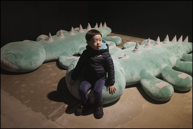사용자 삽입 이미지