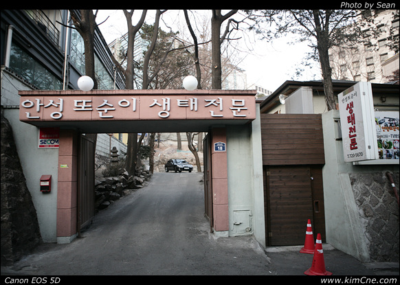사용자 삽입 이미지