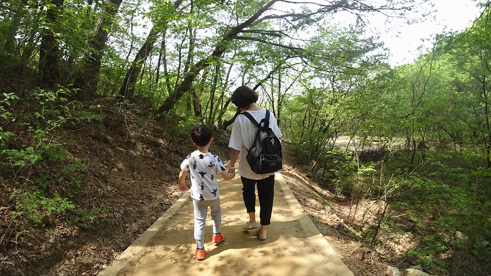 사용자 삽입 이미지