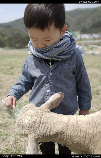 사용자 삽입 이미지