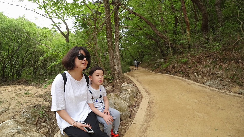 사용자 삽입 이미지