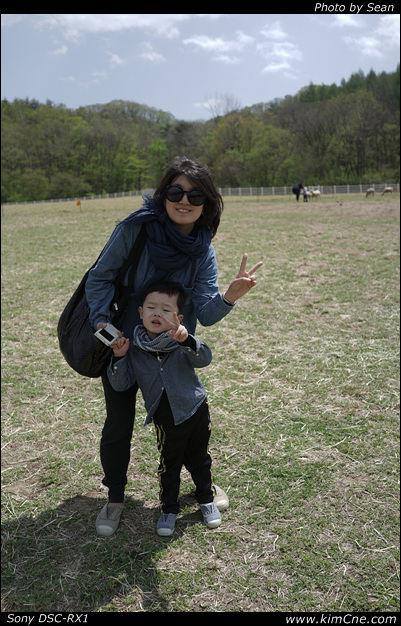 사용자 삽입 이미지