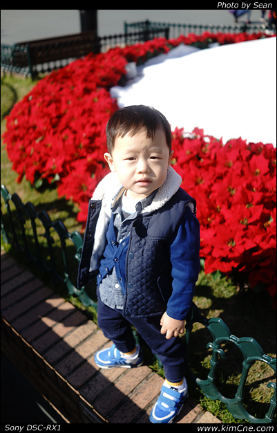 사용자 삽입 이미지