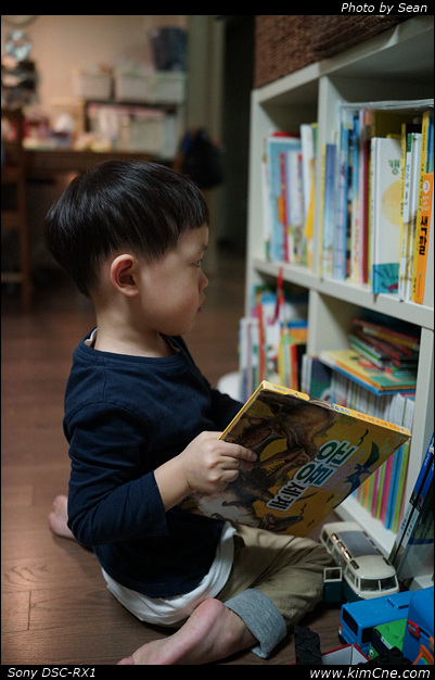 사용자 삽입 이미지