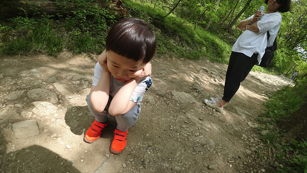 사용자 삽입 이미지