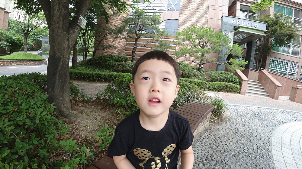 사용자 삽입 이미지